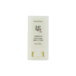 Beauty of Joseon Matte Sun Stick : Mugwort + Camelia SPF 50+ PA++++ (18g)