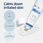 Round Lab Birch Juice Moisturizing Sunscreen (SPF 50+ PA++++ - 50ml) - Image 4